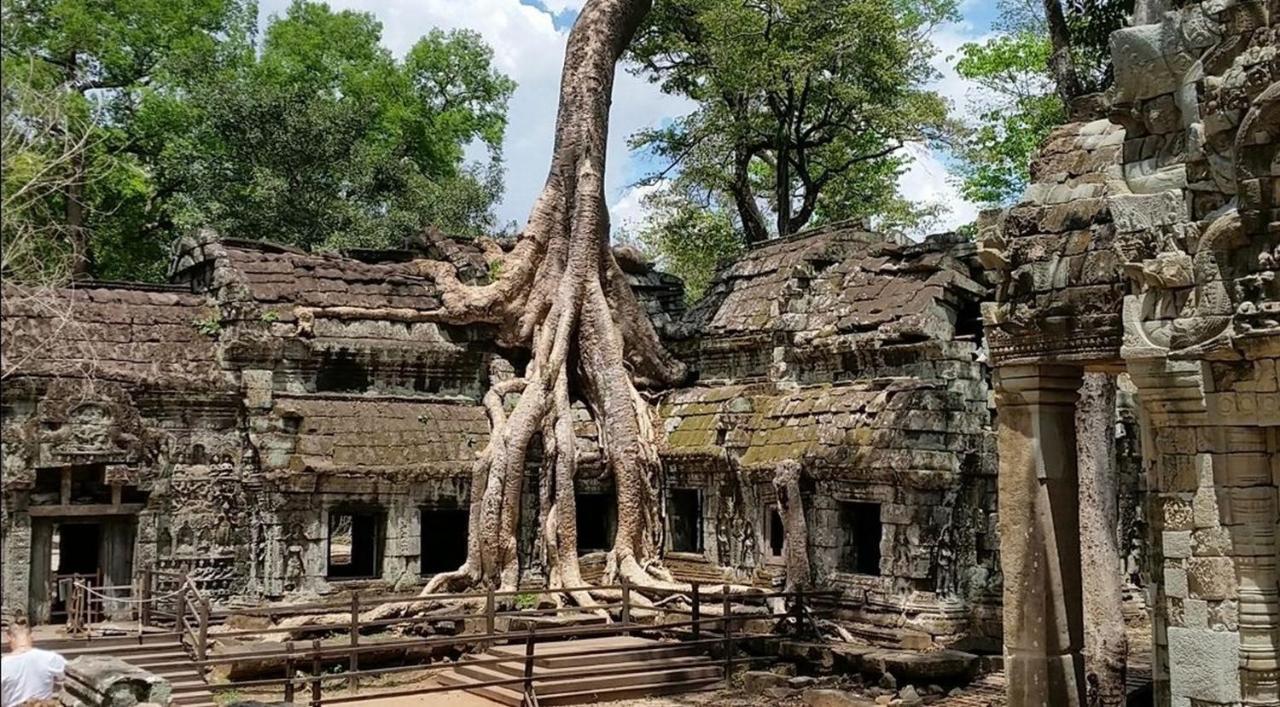 The Palmery Siem Reap Exterior foto