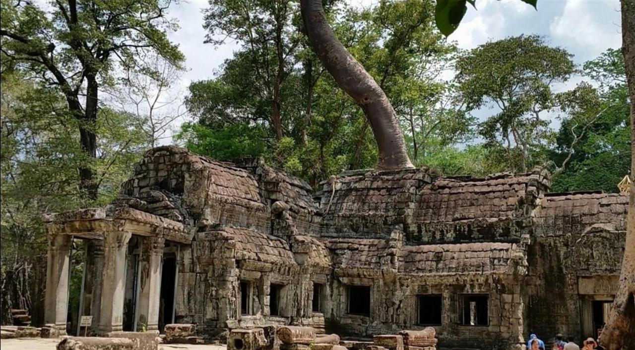 The Palmery Siem Reap Exterior foto